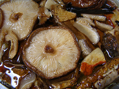 mushroom, shiitake, fungus, food, brown, healthy, vegetarian