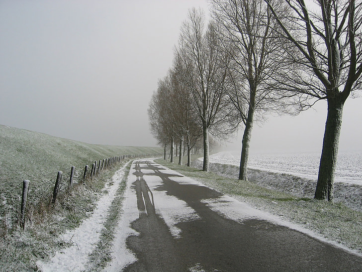 หิมะ, สำหรับที่ลุ่ม, beijerland ถนนใหม่, หมอก, ต้นไม้, ถนน