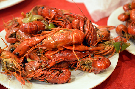Lobster, hewan, Makanan, crawdads, Crustacea, air tawar, Lobster