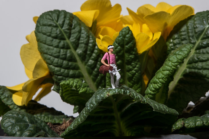 miniature, photography, golf, flowers, macro, close, figure