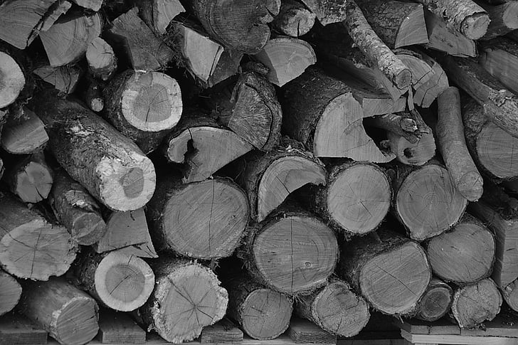 logs, madeira, aquecimento, pilha de madeira, Copa, serrada, pilha