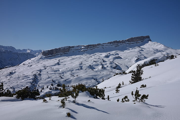 Backcountry skiiing, ifen, Ски, обиколка, зимни спортове, зимни, Каране на ски