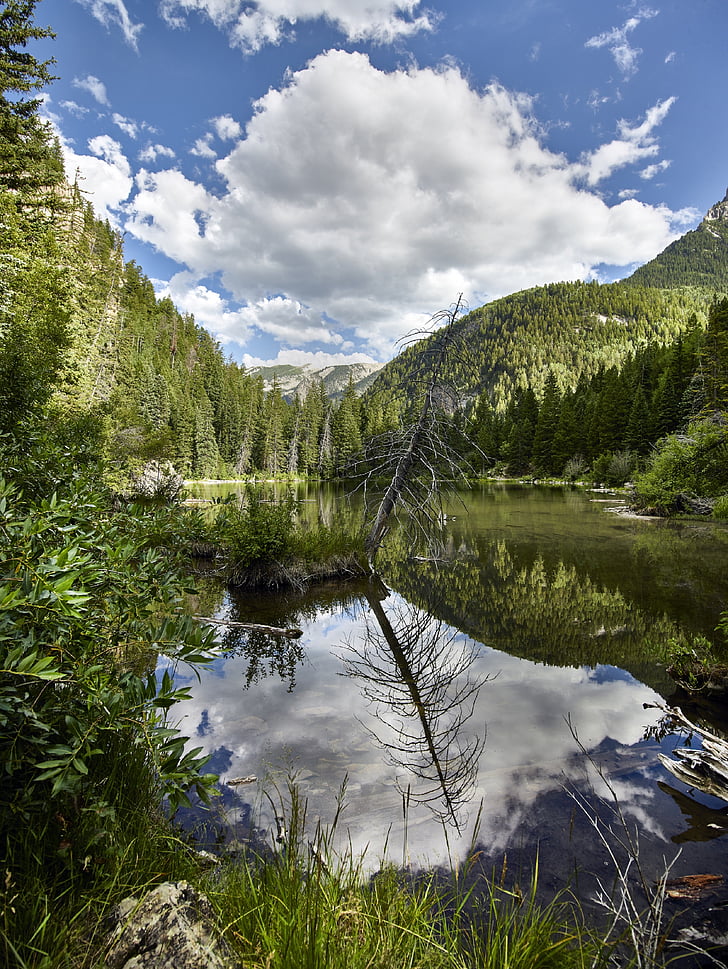 landskap, natursköna, vildmarken, robust, ödla sjö, Colorado, bergen