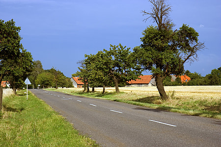 rural, landscape, road, roadway, scenic, scenery, countryside