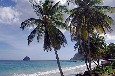 paplūdimys, Rokas, Deimantas, Martinika