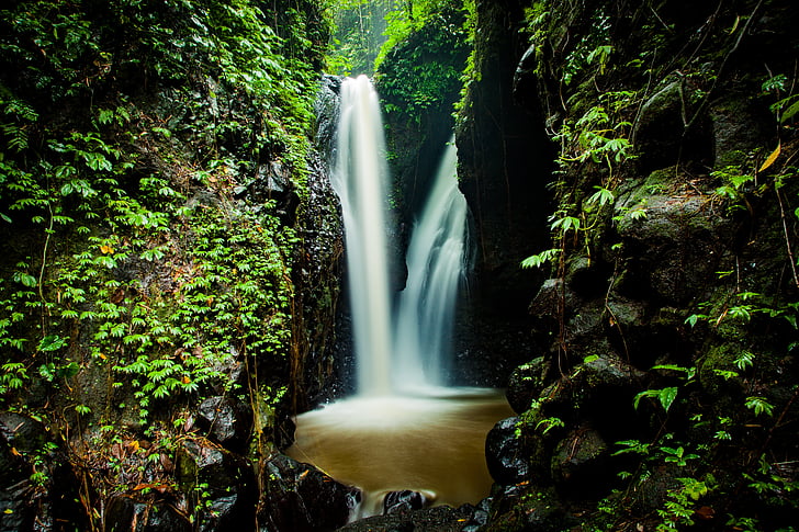 waterfall, nature, forest, tropics, jungle, stream, water
