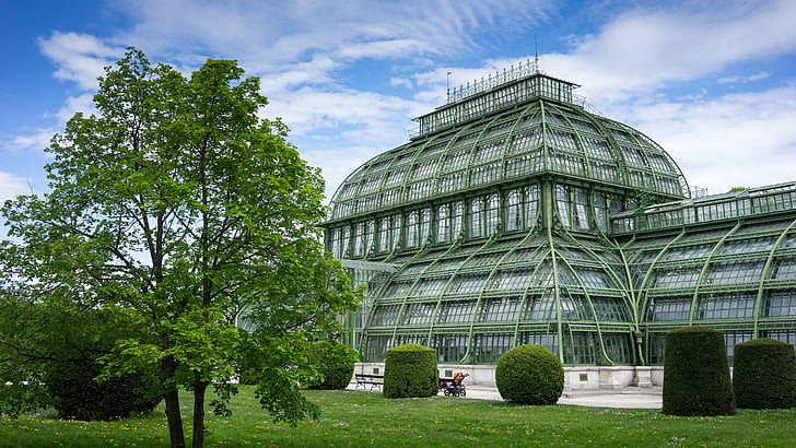 palmenhaus, Schönbrunn, Wien, Viedeň, oceľ, sklo, palmery