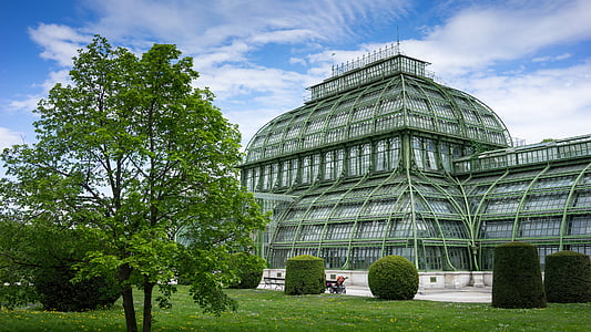 palmenhaus, Schönbrunn, Wien, viena, plieno, stiklo, palmery