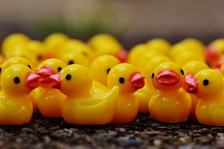 ducks, figures, group, cute, sweet, many