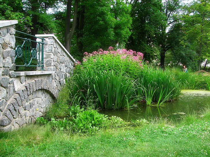 parku, zahrada, rybník, Feng shui, jaro, Most, Příroda