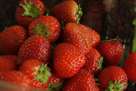 food, strawberry, fruit, fresh, healthy, organic, healthy foods