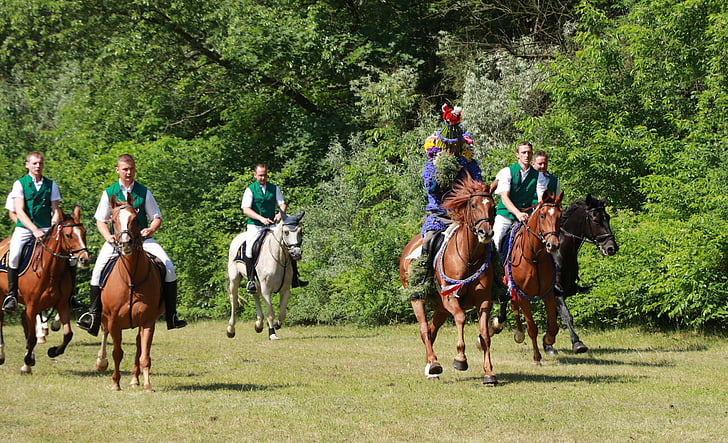 ride de Criquet pèlerin, cheval, Casel, Ride, Basse-Lusace