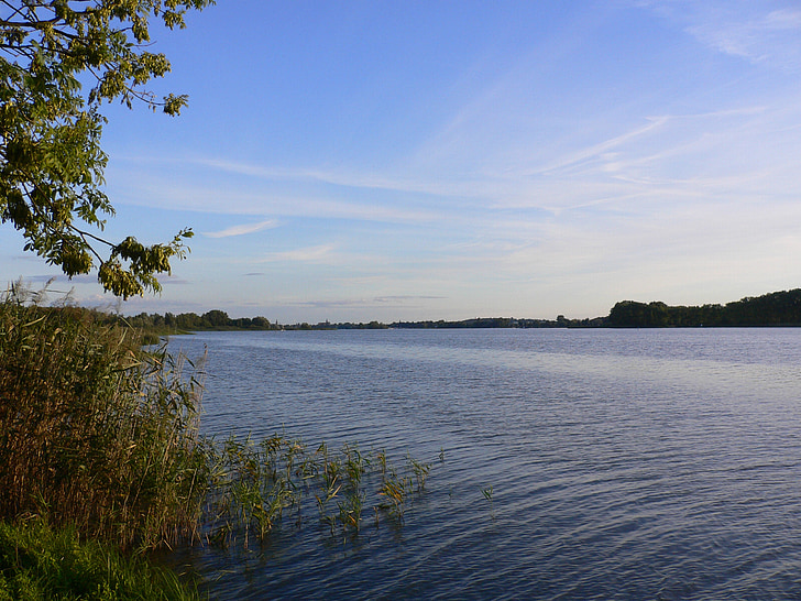 lake, gopher, quiet, evening, landscape