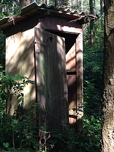 toilet, forest, wc, toilet cabin, nature, loo