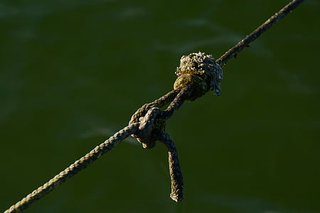 knot, connection, dew, rope, fixing, old, strand