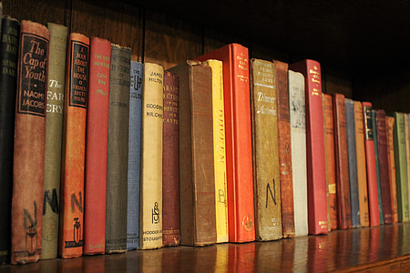 books, book, bookshelf, library, read, literature, shelf