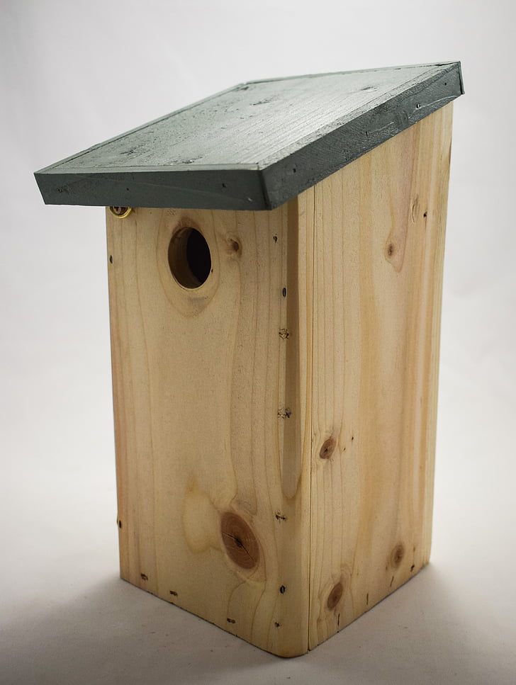 син синигер гнездото кутия, гнездо box, птица клетка, гнездене кутия, птици гнездящи кутия, птица гнездене кутии