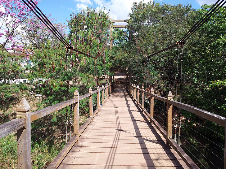 tiltas – pirenópolis, kelias, medžiai, Gamta, medis, miško, lauke