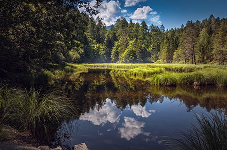 landscape, lake, nature, mirroring, water, reflection, forest