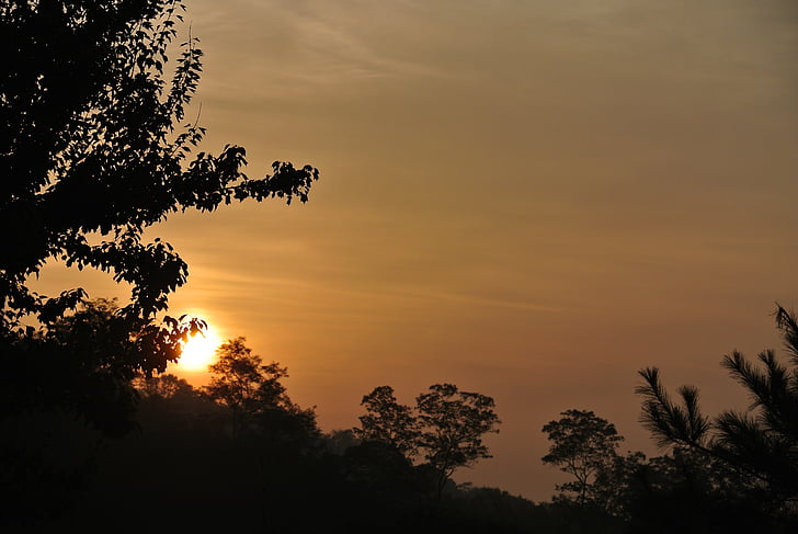 Sunrise, ráno, drevo, Príroda, západ slnka, strom, vonku