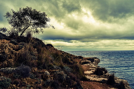 Chipre, Kapparis, acantilado, Ensenada, camino de ronda, mar, azul