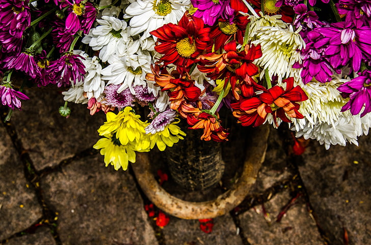 carriole, flowers, flower, decoration, nature, plant, bouquet