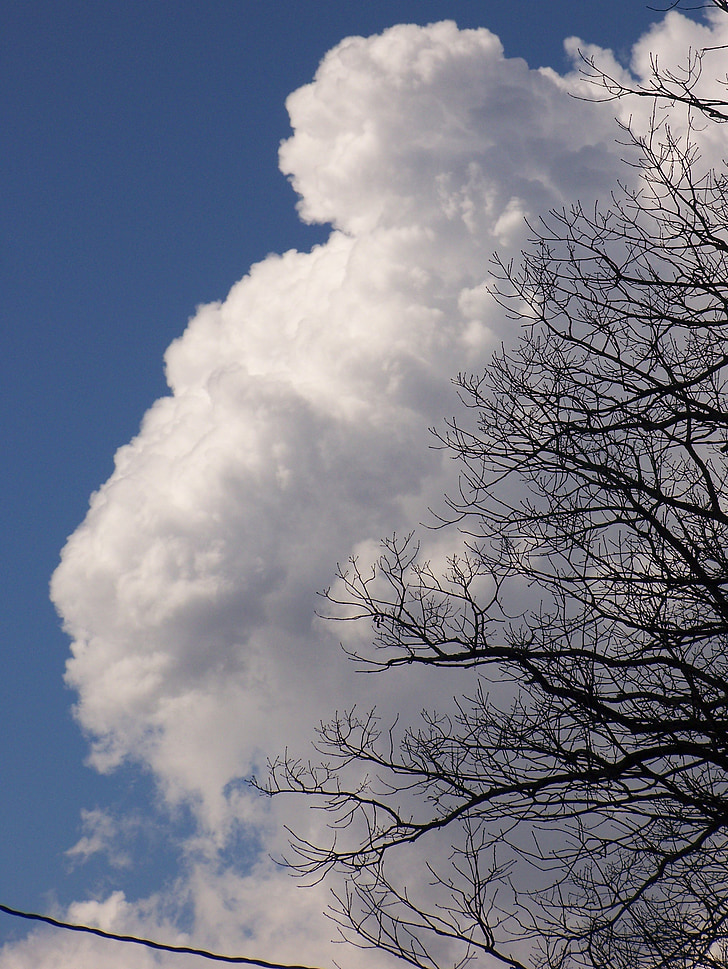 nube, Blanco, tiempo en, naturaleza, Fluffy, brillante, Cumulus