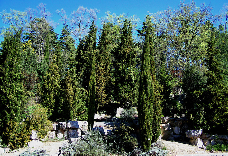 το evergreens, βράχια, Πεκς, Βοτανικός Κήπος