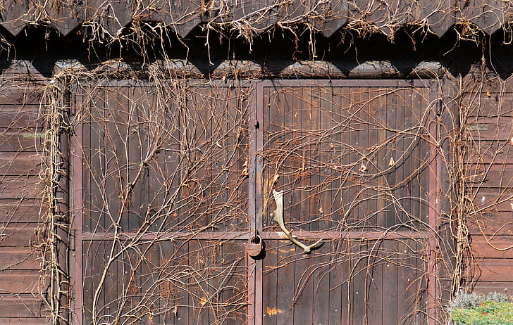 Slovensko, dveře, staré, budova, Architektura, břečťan, dřevěný