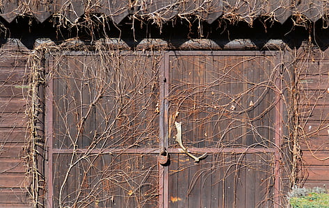 Eslovaquia, puertas, antiguo, edificio, arquitectura, hiedra, madera