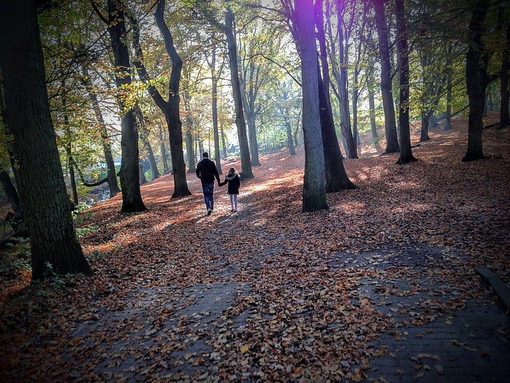 autumn, forest, trees, parent, father and daughter, happiness, nature