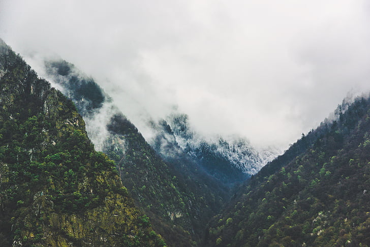 fog, mountain, hills, landscape, forest, trees, clouds