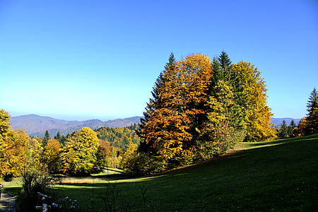 山脉, pieniny, 景观, 波兰, 树, 返回页首, 秋天