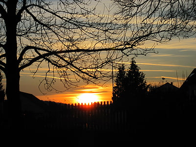 sunset, tree, fence, sun, twilight, silhouette, clouds