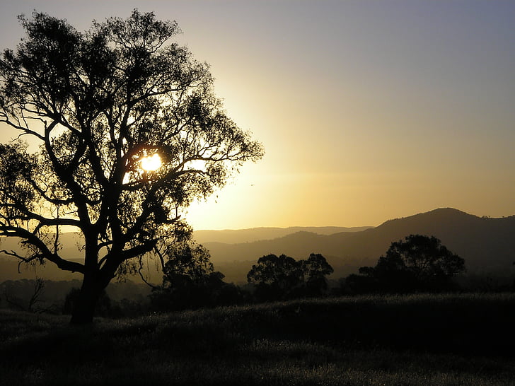 posta de sol, eucaliptus, muntanyes, natura, a l'exterior, Austràlia