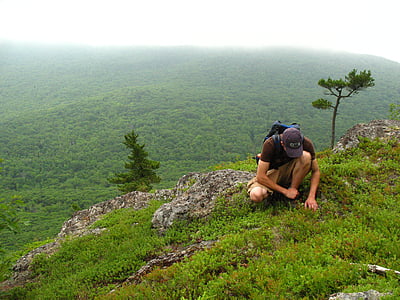 Hiking, pegunungan, alam, memetik blueberry, orang-orang, pemandangan, orang