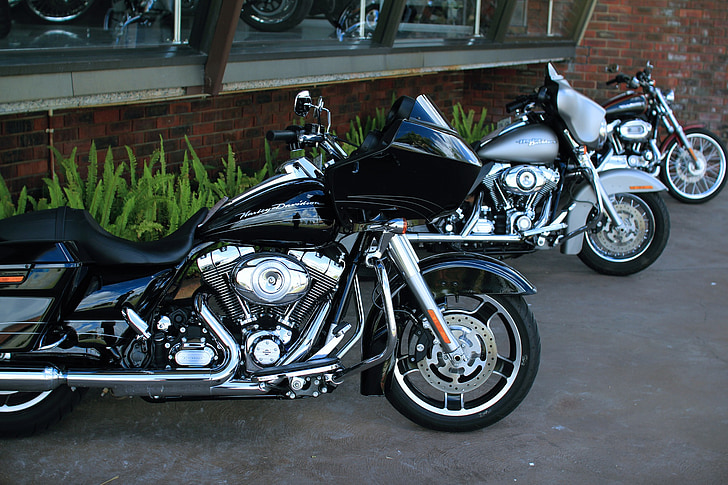 moto, Harley, sala de exibição, sala de exposições, motos, bicicleta de estrada