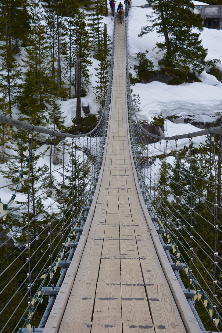 bridge, winter, snow, landscape, nature, outdoor, cold