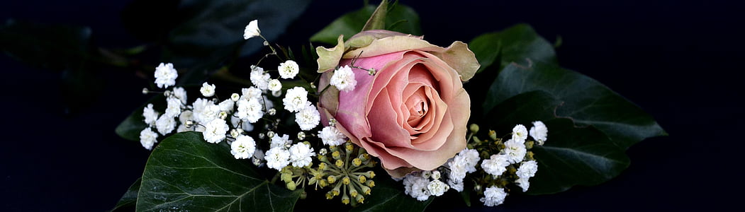 Rose, cvet, cvet, cvet, vrtnice cvet, gypsophila, Romantični