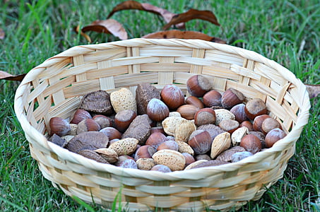 nuts, food, healthy, organic, eating, vegetarian, seed