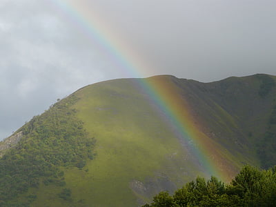 Rainbow, mägi, Alpid, loodus, maastik, metsa, udu
