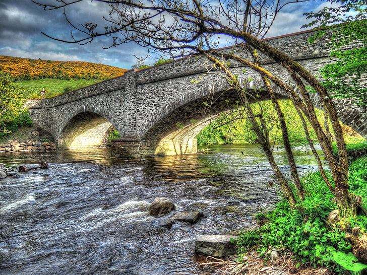 Ponte, fiume, acqua che scorre veloce, Ponte - uomo fatto struttura, natura, albero, acqua