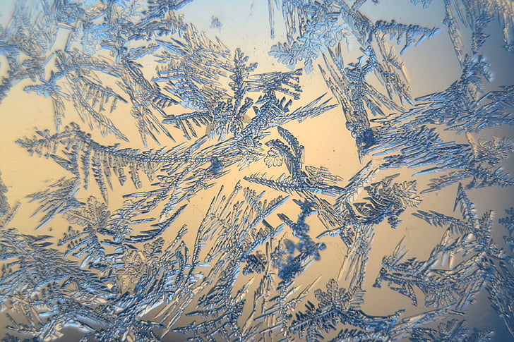 cristales de la nieve, invierno, Frosty, congelados, macro, fondos, azul