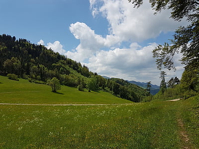 Švica, Basel-zemljišča, eptingen, narave, pohodništvo, gozd, travnik
