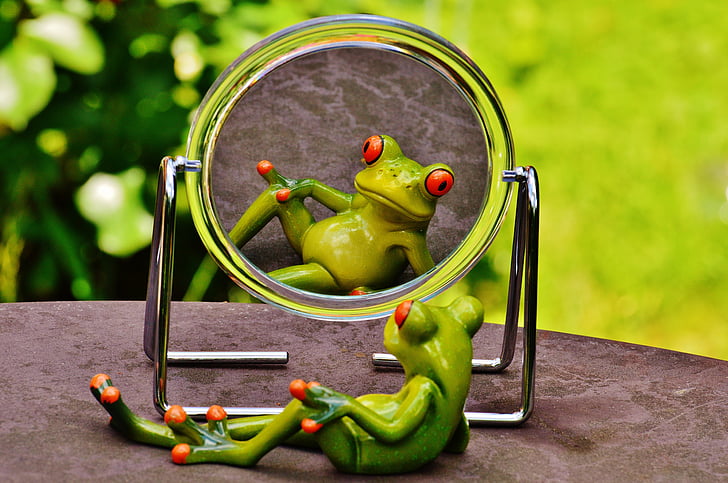 žaba, ogledalo, zrcalna slika, zrcaljenje, srčkano, zabavno, zabavno