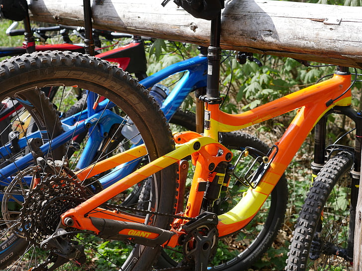 bicicleta de montaña, resto, bosque del Palatinado, rueda, totalmente, suspensión, bicicleta