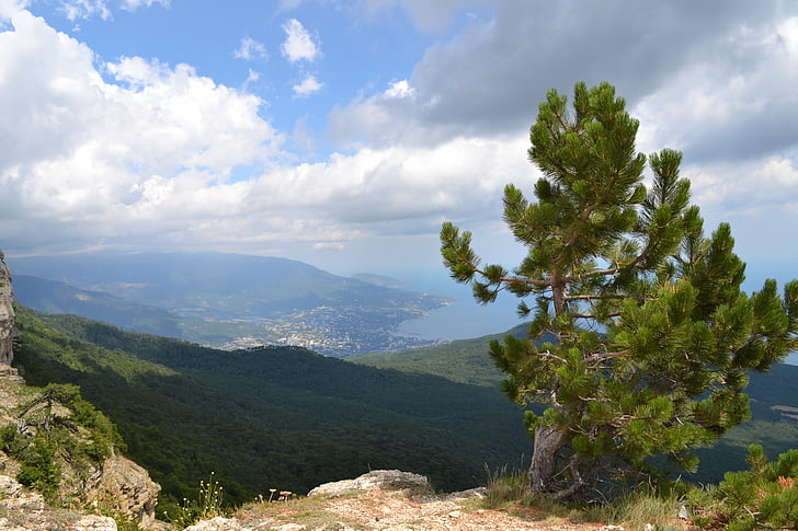 pemandangan, langit, awan, pohon, cakrawala, Kolam, Yalta