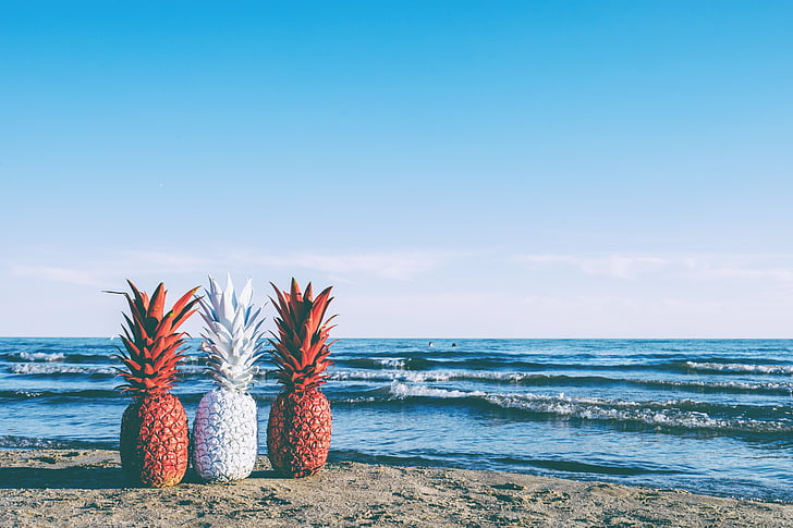 pineapple, sunset, fruit, beach, red, white, summer