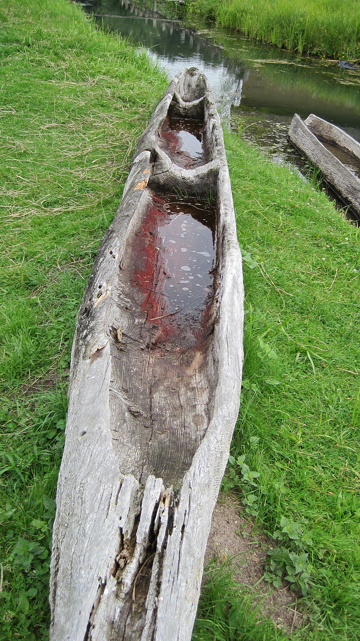 canoa, uma árvore, bota, natureza, feito à mão, vodca, esculpido