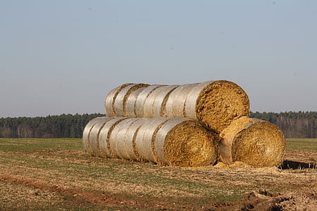 straw bales, straw, hay, hay bales, meadow, landscape, agriculture